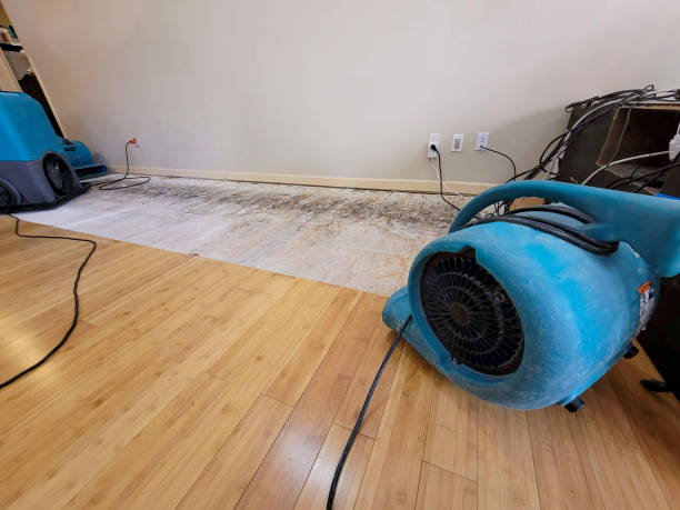 Professional Flood Damage Cleanup technician working in Brookhaven, MS